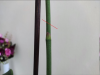 101403937_.png.8fff3013657f8a8d1a4b2f621540b733.thumb.png.e8ffb47a6361888472ebe69b65e08620.png