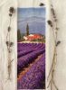 1263903068_.thumb.jpeg.5ed613dd15211cb7e60d0ea647538c54.jpeg