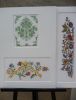 133900240_rijksmuseumtheagouverneur2.thumb.jpg.136e74afeec46d359a5454c404a2933c.jpg