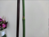 1581296855_.thumb.png.960db2b10ae536af456cd0b7278aeec4.png