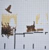 160051377_.thumb.jpg.5c828498eef28af09572d8ea318913c6.jpg