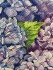 1D8CD661-ABBB-4844-AC0E-BA2A96AD0B7E.thumb.jpeg.c2c6e9fdd6239fbc5032c397f4c2f860.jpeg