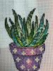 1E2DDEAE-7C38-4ED5-A343-7AABDC10DA2B.thumb.jpeg.5f2f1e1c9878ca87b9a5a02f4cdee257.jpeg