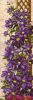 1E640EBF-7EE0-481E-AFD7-3EB18C540EC3.thumb.jpeg.292cc335d951670582c3464b350d0b0b.jpeg