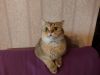 20201104_120644.thumb.jpg.e7c899727aaa6eae386f17121154d2a9.jpg