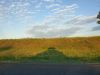 20220614_045230.thumb.jpg.2b05a9521d3622e05d8000a63c7c78bd.jpg