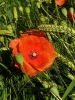20220614_073654.thumb.jpg.b37b662c7657f5c8e4a879b463289443.jpg