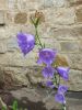 20220616_120705.thumb.jpg.da23bd6db163ec7a61018d3dfc56b2a5.jpg