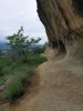 20220617_122644.thumb.jpg.f0a5666e2ad1493754f9ad7227f6fc82.jpg