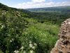 20220618_093751.thumb.jpg.4861d3fe6ee53803ebbeeb94d9d47f28.jpg