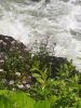 20220620_113239.thumb.jpg.d2d57b95061974eaf3f39ae398219c4b.jpg