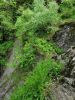 20220620_125032.thumb.jpg.5cb547684d56567899fd75b631cb1f1e.jpg