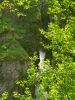 20220620_130616.thumb.jpg.9fef360641a53c8dfc1f57efe63953de.jpg