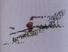 20220622_101219.thumb.jpg.dfe23c980321eef7b37700408fd515b7.jpg