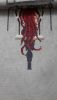 20220629_223844.thumb.jpg.4775bbd63bcecd1407c0930444faeefb.jpg