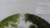 20220702_202201.thumb.jpg.bda5d014441c18ecfabebbc9a8003993.jpg