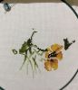 2051826048_.thumb.jpeg.ead934d09acb0769b37f003f36a7175d.jpeg