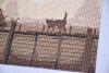 269025616_DSC_0118(2).thumb.jpg.a59fc1be80e36e1aefe6489bf82a448c.jpg