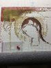 5155E46A-7167-471B-B217-1DDB74196D50.thumb.jpeg.1d141a7be213417ed690b18f2be1a8f5.jpeg