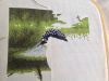 519351392_.thumb.jpeg.0f15e12f1f0bfbddf2ca38db2c022774.jpeg