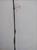562319637_.thumb.png.8a6d48ecedb409f73379072e717cfd95.png