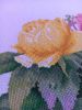A039AF6D-9181-498F-B9BD-49BF640AB13E.jpeg