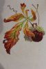 A1FF9833-FB3B-4B28-B5B1-54A8E12D4CAE.thumb.jpeg.3a6690c0ba031edca8bdee9f10048acd.jpeg