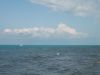 DSCF0580.thumb.JPG.4eebcf74061fc690773d4ac458125ae2.JPG