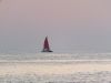 DSCF0597.thumb.JPG.0213d7d77954bbecaab5f51fc94fe53b.JPG