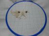 DSCN5680.JPG