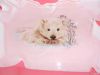 DSCN5712.JPG