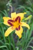 DSC_0063.thumb.JPG.a2bccb1e1f16e43615a3d5b846ca9510.JPG