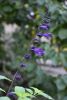 DSC_0069.thumb.JPG.1111d5a4eb9c06dde1772fe9382ff6eb.JPG