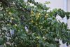 DSC_0073.thumb.JPG.03e587b3fa6e4935fd75ddfa2776794e.JPG