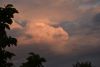 DSC_0114.thumb.JPG.2798a788400e7d180ecfb343f6606bcb.JPG
