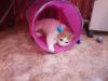 DSC_0255.thumb.JPG.d83010d91675592543abb5a92b479249.JPG