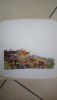DSC_0455.thumb.JPG.4f839ee3ba56dd8e5606316d59d07642.JPG