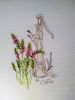 DSC_4831.thumb.JPG.8ce2ee1993cf7eae460895f18ca15c1f.JPG