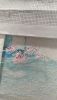 IMG-20220324-WA0016.jpeg