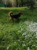 IMG-20220515-WA0006.thumb.jpg.5fab5ba7e7fdfea5cbe2c39481f17e74.jpg