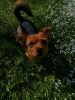 IMG-20220515-WA0007.thumb.jpg.554ff339c1b4cd5add440afd34a384ad.jpg