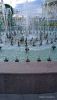 IMG-20220716-WA0013.thumb.jpg.788576902b59c438d9cb9df7cb5b8835.jpg