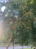 IMG-2210.thumb.jpg.a7b9b1aeea37cc54d296a3c2ced6cee0.jpg