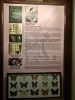 IMG_20220617_155121.thumb.jpg.a882cba904110cf3202b88c5e4be92cd.jpg