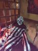 IMG_20220617_161936.thumb.jpg.6833ab07e8c09befad0c0fbf85dbdc0d.jpg