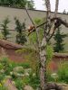 IMG_20220618_125343.thumb.jpg.304576d9fe62c75d90697cc2c56a89fd.jpg