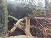 IMG_20220618_141818.thumb.jpg.8f00360f3b54576e11b91f288dfef5b4.jpg
