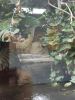 IMG_20220618_142730.thumb.jpg.6e112ac443cd1d346115f094f3568861.jpg