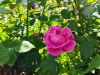 IMG_20220623_120257.thumb.jpg.4a38bbbd027b6f8137ed00aac4bea4cf.jpg