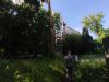 IMG_20220625_171040.thumb.jpg.7ec73c179db08b6fba5ff35506e41890.jpg